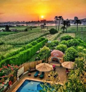 a pool with umbrellas in a field with the sunset at Nile Compound in Luxor