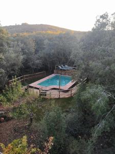 una piscina en medio de un bosque en CASA LA INDIANA, en Fuenteheridos