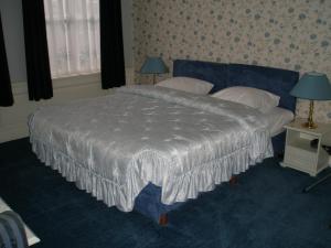 Una cama o camas en una habitación de Hotel Excelsior