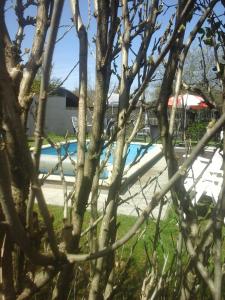 A piscina em ou perto de Reitbergs Nest