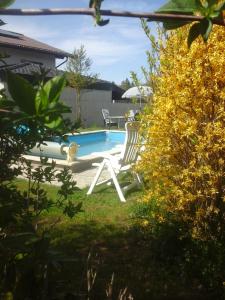 A piscina em ou perto de Reitbergs Nest