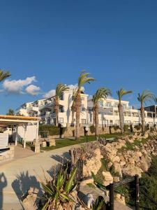 a large white building with palm trees in front of it at Vrachia Beach Hotel & Suites - Adults Only in Paphos