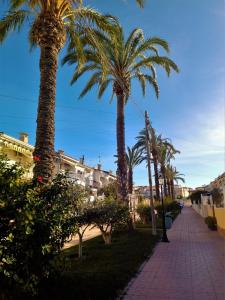eine Reihe von Palmen auf einem Bürgersteig in der Unterkunft Encantador adosado en Gran Alacant in Gran Alacant