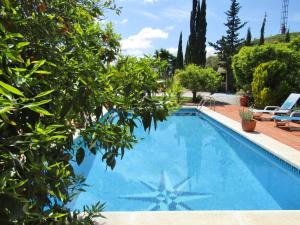 a large blue swimming pool with trees and chairs at Escuela La Crujía in Vélez-Málaga