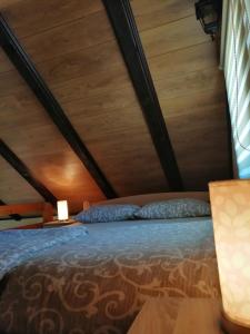 a bed in a room with a wooden ceiling at Garden 022 in Vrdnik +45 photos