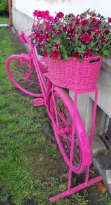 Una bicicleta rosa con una cesta llena de flores en Apartmán u Javorů, en Varnsdorf