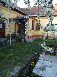a house with a garden with flowering trees in the yard at Hársfák in Mezőkovácsháza