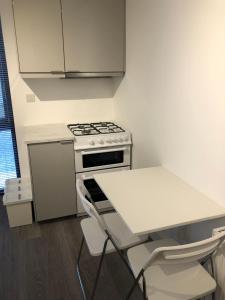 Kuhinja oz. manjša kuhinja v nastanitvi Skellig Port Accommodation - 1 Studio Bed Apartment