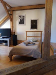 a bedroom with a bed and a flat screen tv at Apartmány Rossa in Louny