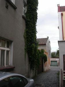 ein Efeu, der an der Seite eines Gebäudes wächst in der Unterkunft Apartmány Rossa in Louny