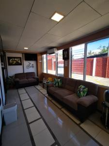 a living room with a couch in a room with windows at Toucan Hostel in Alajuela City