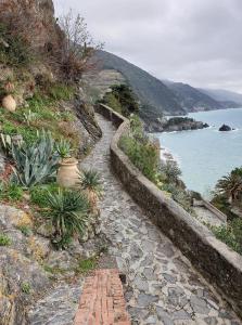 een stenen pad naast de oceaan op een heuvel bij I Lecci Di Soviore in Monterosso al Mare