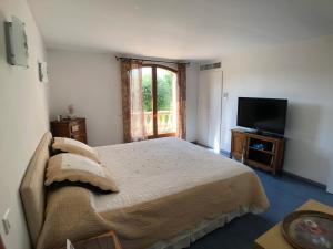 Un dormitorio con una cama y un televisor de pantalla plana. en Villa des Pies, en Fayence