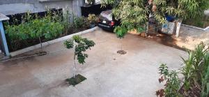 Imagen de la galería de Casa Sobek, en Puerto Escondido