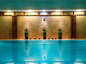 a swimming pool with potted plants on a wall at Sofitel Budapest Chain Bridge in Budapest