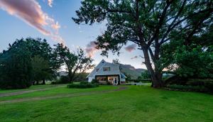 una casa con un gran árbol en el patio en Woodcliffe Country House, en Woodcliffs