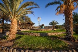 a park with palm trees and a fountain at Canyon Roadhouse Campsite in Karasburg