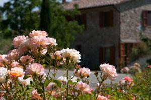 Zahrada ubytování Agriturismo Le Valli