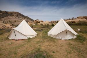 zwei Zelte in der Mitte eines Feldes in der Unterkunft Rummana Campsite in Dana
