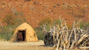 a camel standing inside of a mud hut at Omarunga Epupa-Falls Campsite in Epupa +8 photos