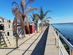 una acera con palmeras junto al agua en Oceanic Motel en Ocean City