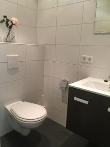 uma casa de banho branca com um WC e um lavatório em Geschakelde bungalow op de Veluwe "De Eekhoorn" em Otterlo