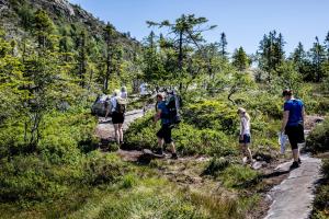 Hosté ubytování Vrådal Ferieleiligheter