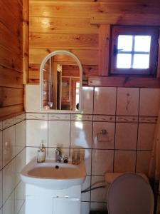 a bathroom with a sink and a toilet and a mirror at Szyper pokoje i domki in Władysławowo