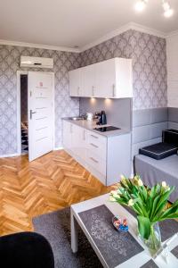 Kuchyňa alebo kuchynka v ubytovaní Cracovia Apartments