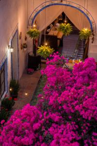 un bouquet de fleurs roses dans un jardin dans l'établissement Hotel & Spa La Mansion del B Azul, à Querétaro