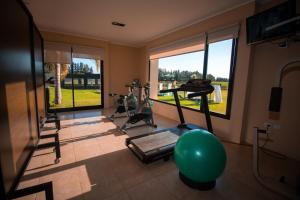 Fitness centrum a/nebo fitness zařízení v ubytování Hathor Concordia