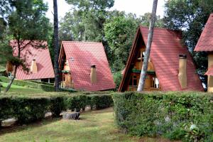 Zahrada ubytování Zirahuen Forest and Resort