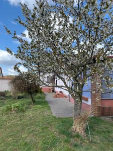 Galeriebild der Unterkunft Gemütliches Ferienhaus mit Garten in Oranienbaum-Wörlitz