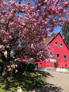 Zahrada ubytování Pension Grübel + 16 fotografií