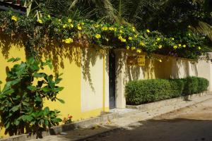 Zahrada ubytování B & B Villa Calliandra