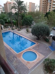 Fotografie z fotogalerie ubytování Moby dick 1D (Verblijf aan de costa) v destinaci Benidorm + 10 fotografií