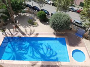 Fotografie z fotogalerie ubytování Moby dick 1D (Verblijf aan de costa) v destinaci Benidorm