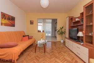 Televízia a/alebo spoločenská miestnosť v ubytovaní Apartmani Antunović Podgora