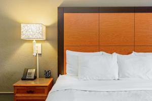 Postel nebo postele na pokoji v ubytování La Quinta Inn by Wyndham Champaign