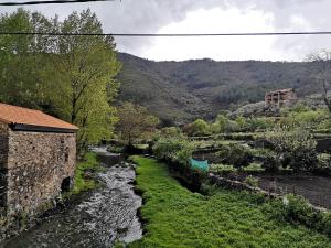 Príroda v okolí of the country house