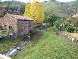Príroda v okolí of the country house