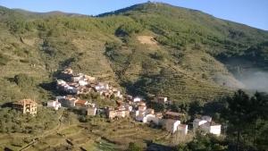 Príroda v okolí of the country house