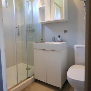 a bathroom with a shower and a sink and a toilet at Apartamenty Eko Domek in Junoszyno