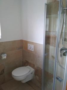 uma casa de banho com um WC e um chuveiro em Ferienwohnung Weinberger em Regen