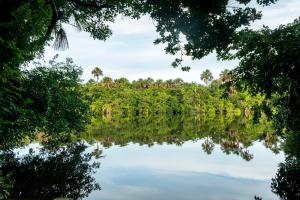 a view of a river with trees in the background at Casa Vilar Rio Temporada Barreirinhas Lencois Maranhenses in Barreirinhas +19 photos