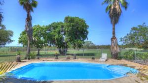 a swimming pool with palm trees and a fence at Hilldrop Motor Inn in Grafton