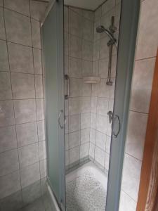 a shower with a glass door in a bathroom at Guest House Accommodation Rupine in Premantura