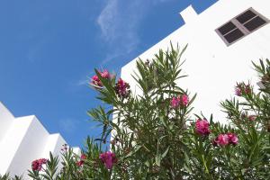 エス・プホルスにあるApartamentos Pou Des Pujolsのギャラリーの写真