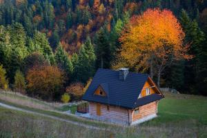 mały dom z niebieskim dachem na wzgórzu w obiekcie Chata na Kowalówkach w mieście Piwniczna