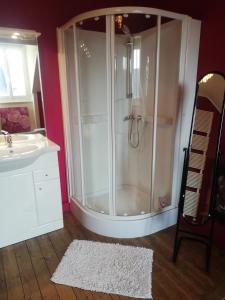 a bathroom with a shower and a sink and a mirror at La Chambre d'hôte de Christelle in Cherbourg en Cotentin